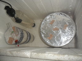 SAM_0761.JPG