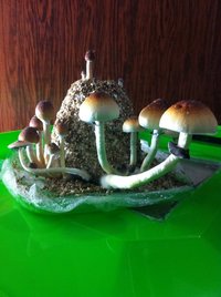 foto (2).JPG