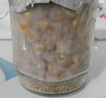 B+231014m_1111.jpg