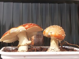 20140624_102332.jpg