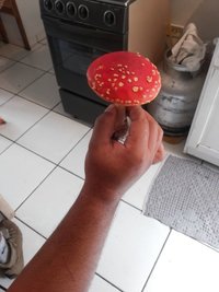 20140625_142356.jpg