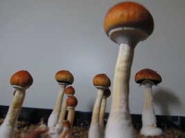 IMG_2680.JPG