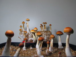 IMG_2685.JPG