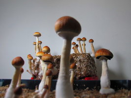 IMG_2689.JPG