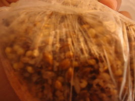 DSC00776.JPG