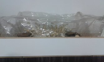 20141119_064817.jpg