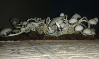 20141120_055837.jpg