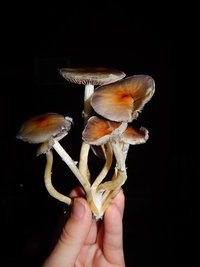 DSCN5793.JPG