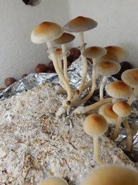 DSCN5887.JPG