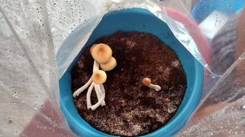 unnamed (7).jpg