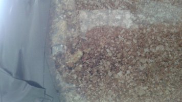 20141211_084145[1].jpg