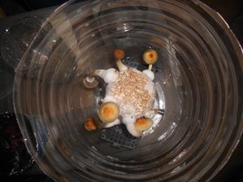 022 (2)_800x600.jpg