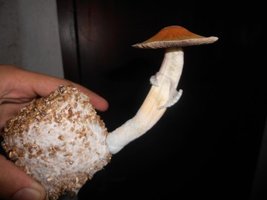 048_800x600.jpg