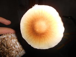047_800x600.jpg
