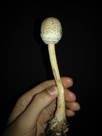 WP_001581.jpg