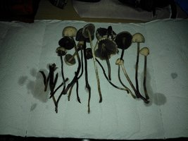 WP_001734.jpg