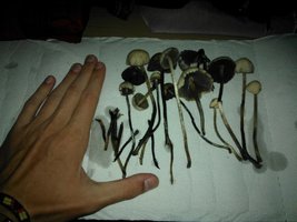 WP_001735.jpg