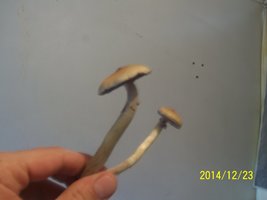 100_4091.JPG