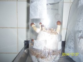 100_4141.JPG