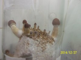 100_4143.JPG