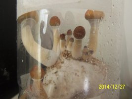 100_4146.JPG