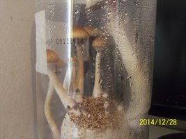 100_4171.JPG