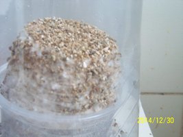 100_4221.JPG