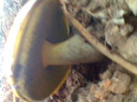 Foto0032.jpg