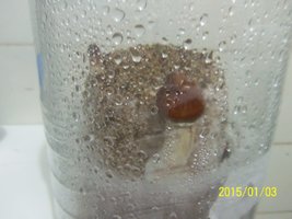 100_4306.JPG