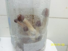 100_4302.JPG