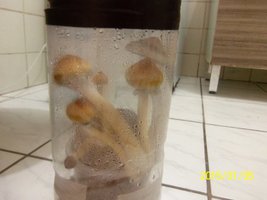 100_4324.JPG
