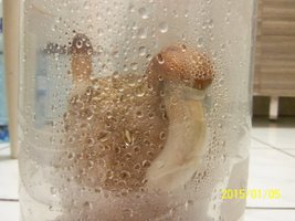 100_4329.JPG