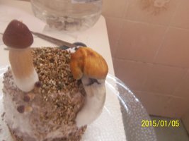 100_4336.JPG