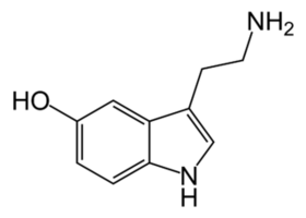 320px-Serotonin-skeletal.png