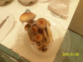 100_4344.JPG