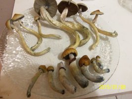 100_4346.JPG