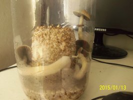 100_4353.JPG