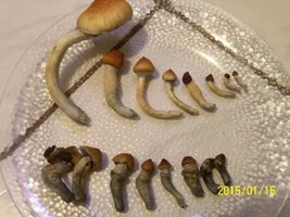 100_4386.JPG