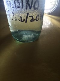 IMG_1190.JPG