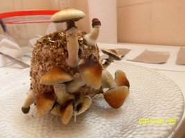 100_4439.JPG