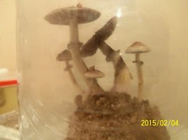 100_4475.JPG