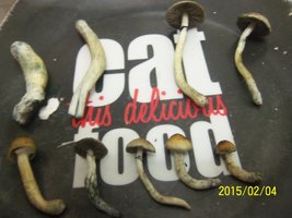 100_4487.JPG