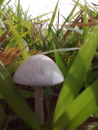 fts 021.jpg