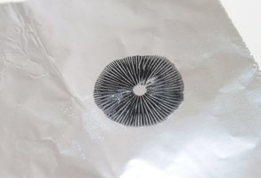 identificando2.jpg
