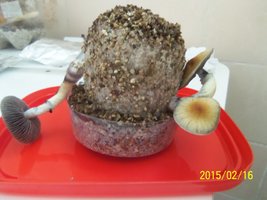 100_4575.JPG