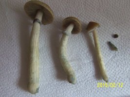 100_4567.JPG