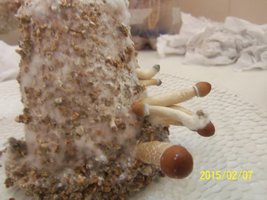 100_4532.JPG