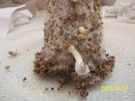 100_4533.JPG