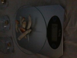 20150302_081216.jpg