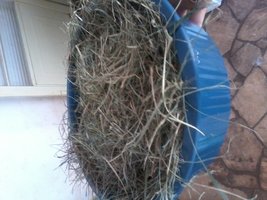 20150302_081058.jpg